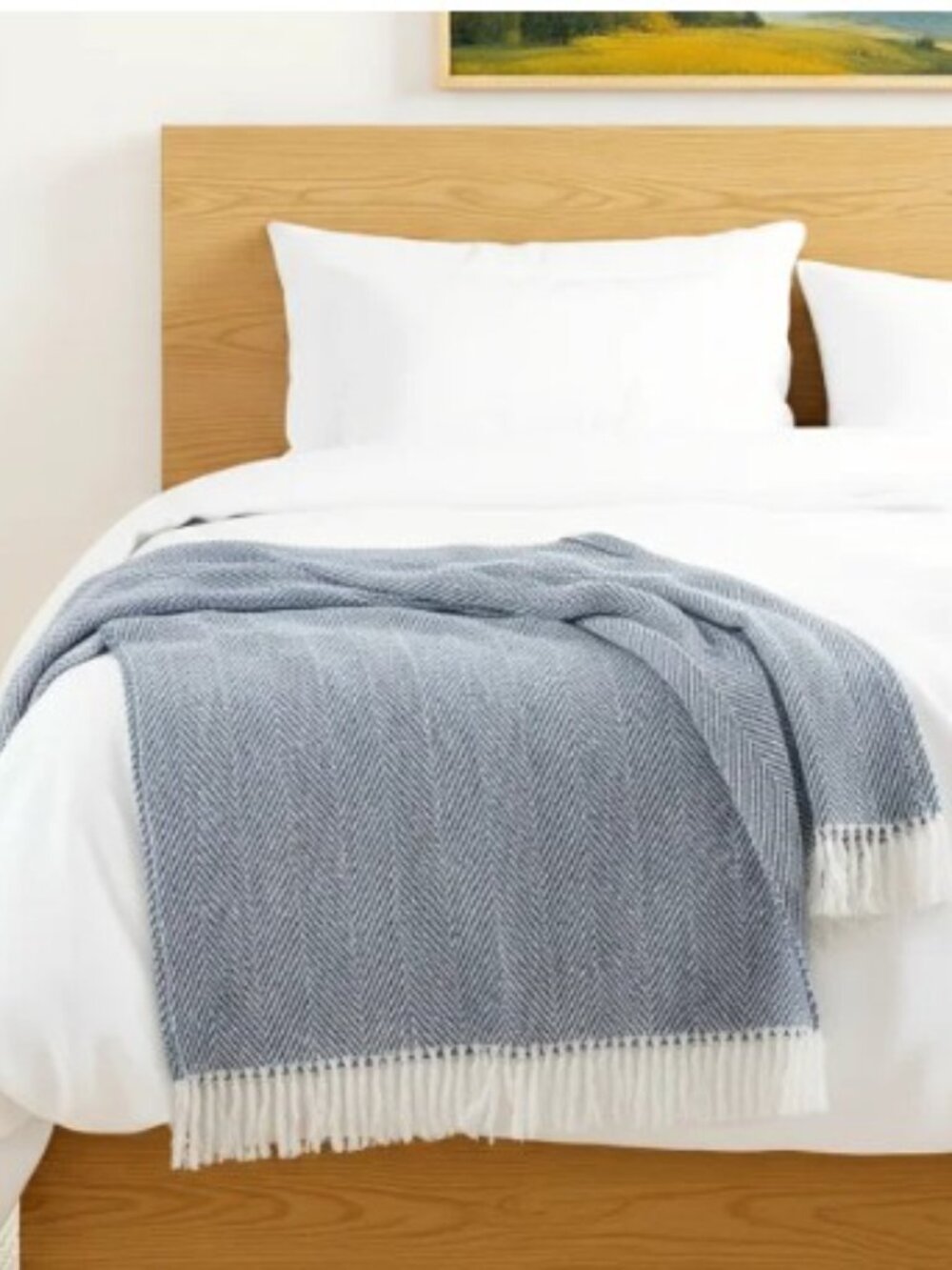 SFERRA NEW Celine Navy Herringbone Throw with Fringe 51"x71"